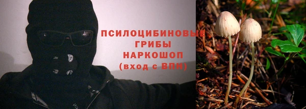 скорость Вяземский