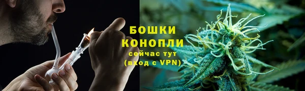 spice Волосово