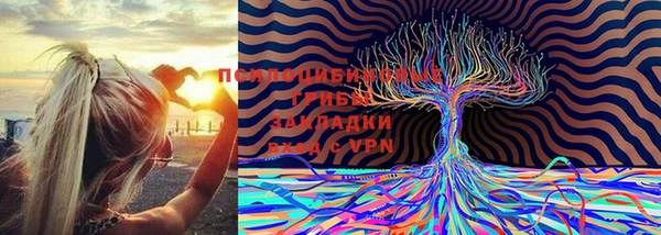 spice Волосово